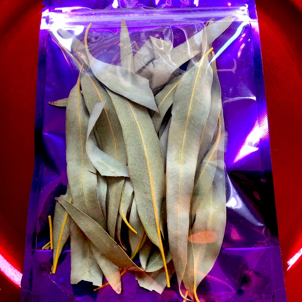 Eucalyptus tea leaves to brew